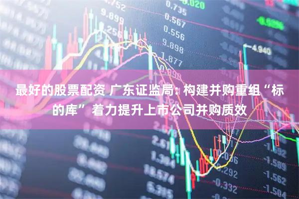 最好的股票配资 广东证监局: 构建并购重组“标的库” 着力提升上市公司并购质效